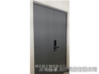 酒店超大钢质防火门