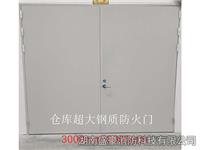 仓库超大钢质防火门